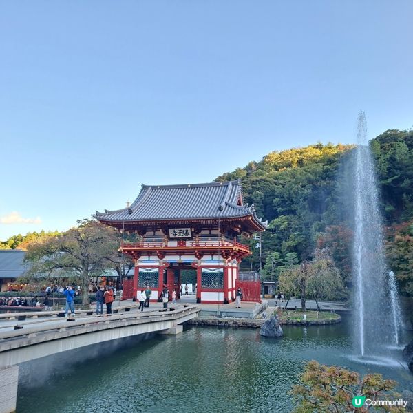 ✨️勝尾寺達摩寺⛩️大阪必去打卡好去處介紹📸💕