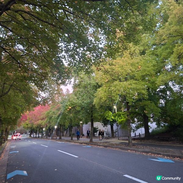 ✨️大阪秋季限定😍三色彩道🍁📸 靚到爆🥳