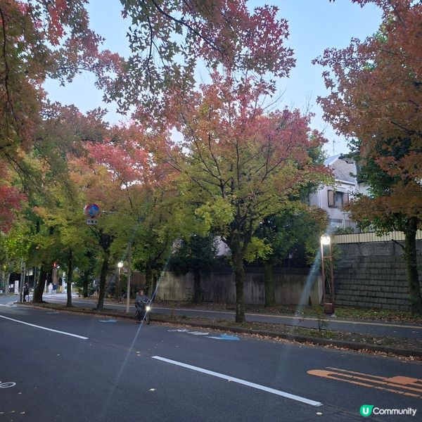 ✨️大阪秋季限定😍三色彩道🍁📸 靚到爆🥳