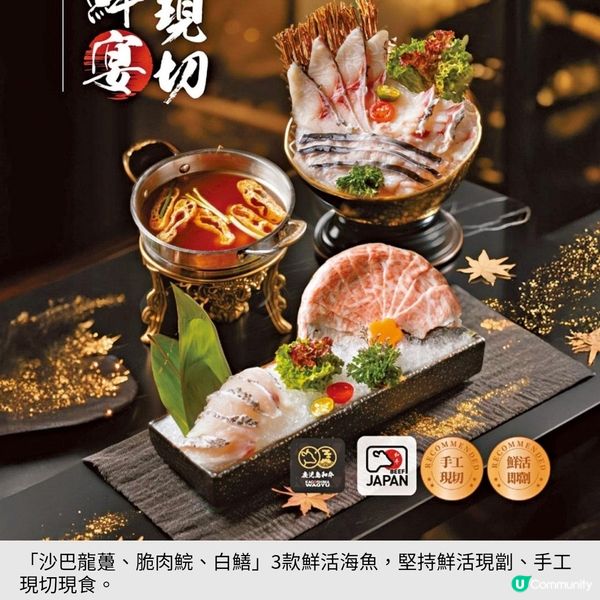 湊湊熱鬧 共享美好時光湊湊火鍋・ 茶憩 為港人添歡樂