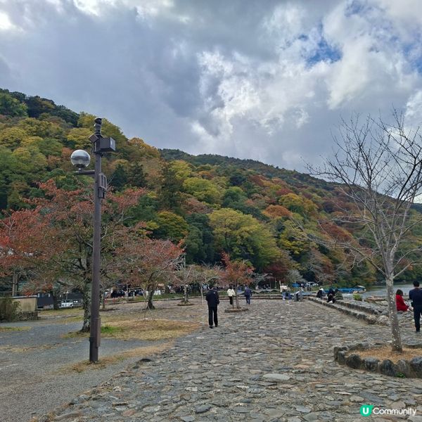 ✨️日本京都渡月橋紅葉之旅🍁打卡必去📸