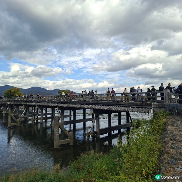 ✨️日本京都渡月橋紅葉之旅🍁打卡必去📸