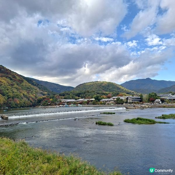 ✨️日本京都渡月橋紅葉之旅🍁打卡必去📸