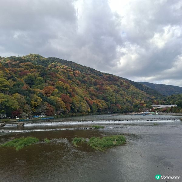 ✨️日本京都渡月橋紅葉之旅🍁打卡必去📸