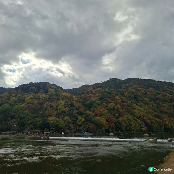 ✨️日本京都渡月橋紅葉之旅🍁打卡必去📸