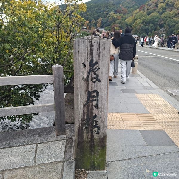 ✨️日本京都渡月橋紅葉之旅🍁打卡必去📸