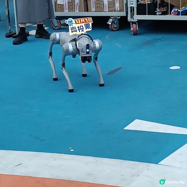 意外發現觀塘有個「龍騰觀塘全運夜市」