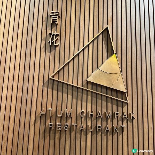 森林風清新泰國菜🇹🇭🌳嫩滑多汁泰國水門雞飯