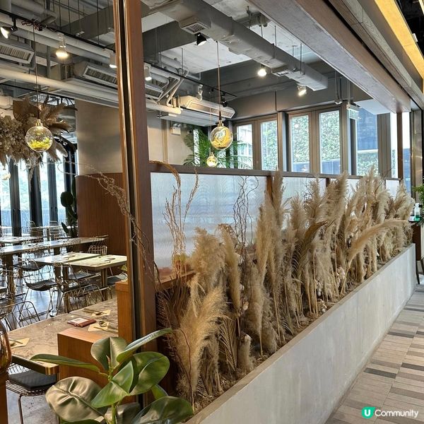 森林風清新泰國菜🇹🇭🌳嫩滑多汁泰國水門雞飯