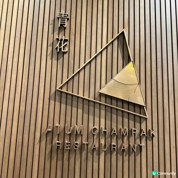 森林風清新泰國菜🇹🇭🌳嫩滑多汁泰國水門雞飯🍚