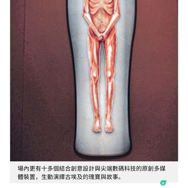 古埃及文明大展開展精選推介4 大主題單元 睇木乃伊冷知識