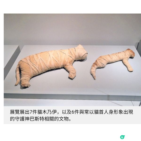 古埃及文明大展開展精選推介4 大主題單元 睇木乃伊冷知識