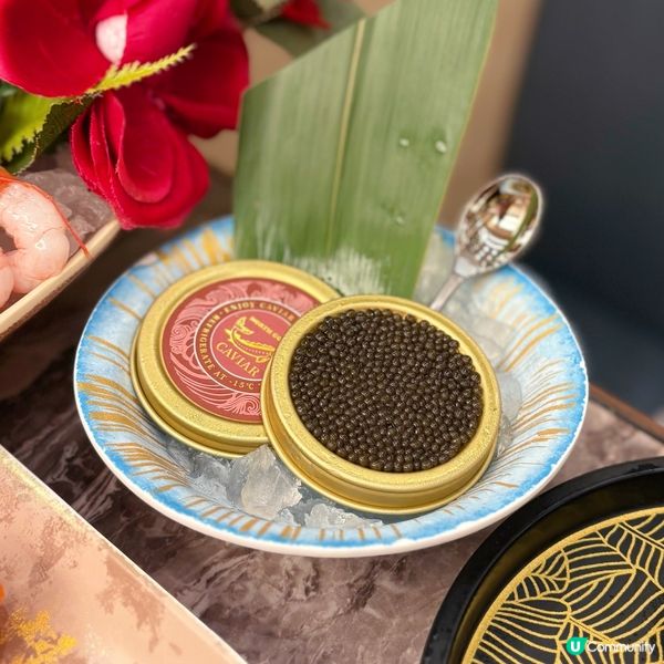 任食波士頓龍蝦🦞