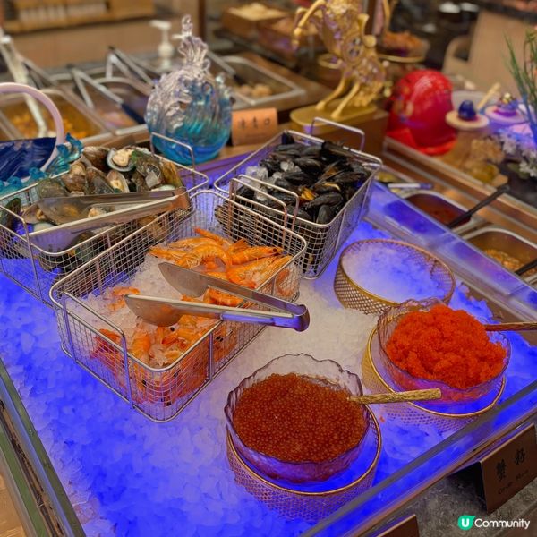 任食波士頓龍蝦🦞