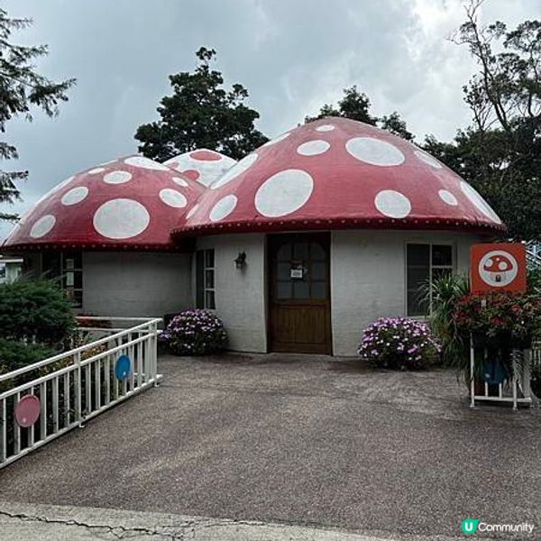 台灣苗栗｜蘇維拉莊園｜超可愛的木造式氛圍餐廳，門票可抵餐飲消費！園內還有很多打卡點！