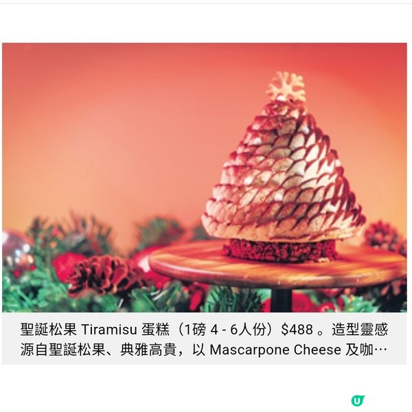 Threads爆紅森林麵包聖誕新搞作 原個椰子糖水麵包 松果