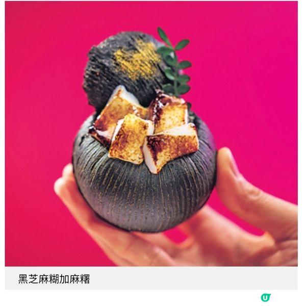 Threads爆紅森林麵包聖誕新搞作 原個椰子糖水麵包 松果