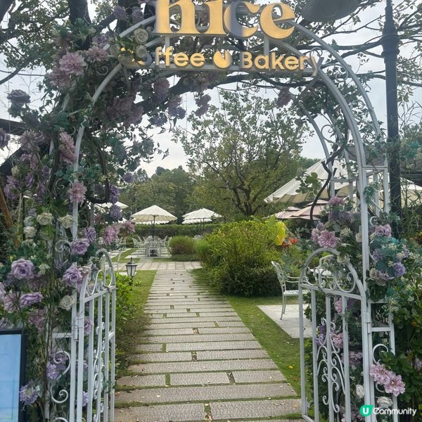 儀式感重生日餐