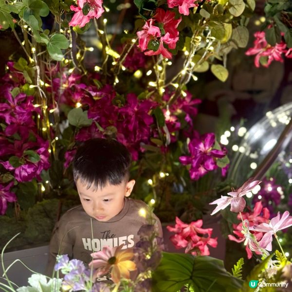 聖誕嘉年華🎄！新城市廣場等你嚟玩🥳！