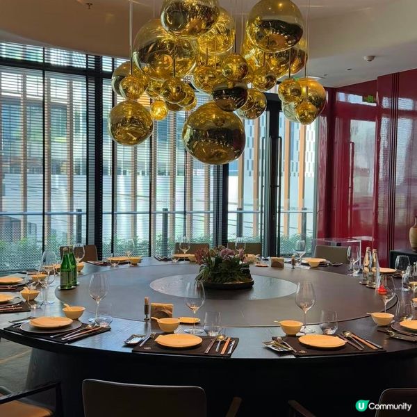 佳寧娜潮汕菜，深圳前海商務飯局首選！🤤