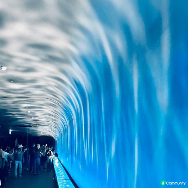 台中海洋館建築獨特，有巨型水母池、全台唯一室内人工濕地等，光...