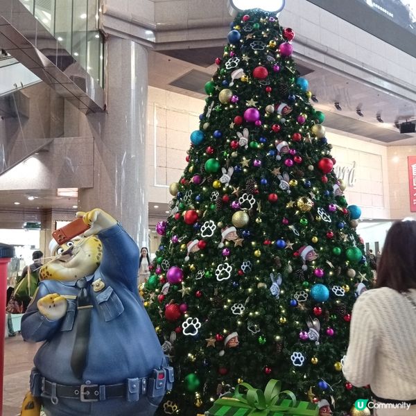 優獸市嚟啦！粉絲去時代廣場打卡📸！