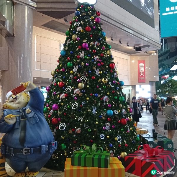 優獸市嚟啦！粉絲去時代廣場打卡📸！