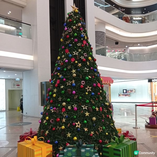 優獸市嚟啦！粉絲去時代廣場打卡📸！