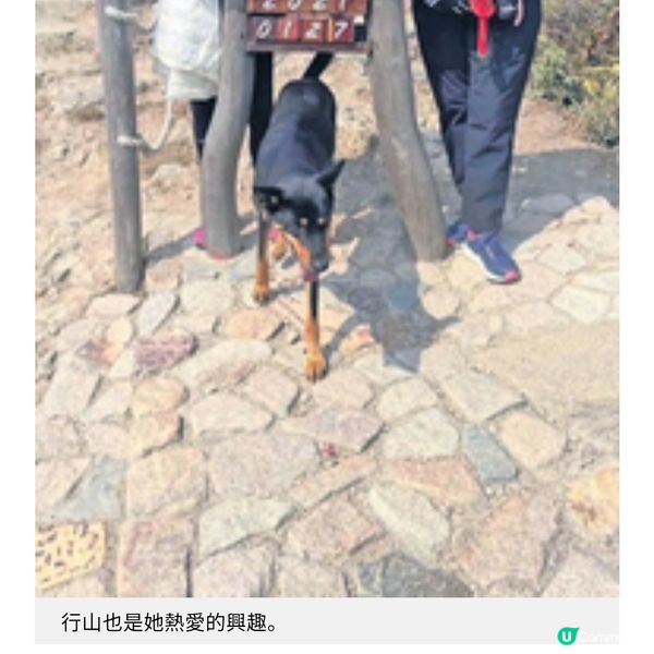 馬海倫百歲母親患腦退化餵食照顧費盡耐性心思