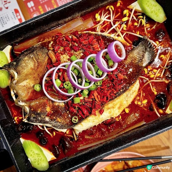 有朋自遠方回@小魚兒