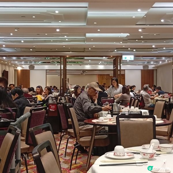 皇室堡稻香煲仔菜🤤！暖笠笠滋補暖胃！