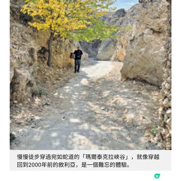 穿越廢墟 重生中的敘利亞聖地之旅