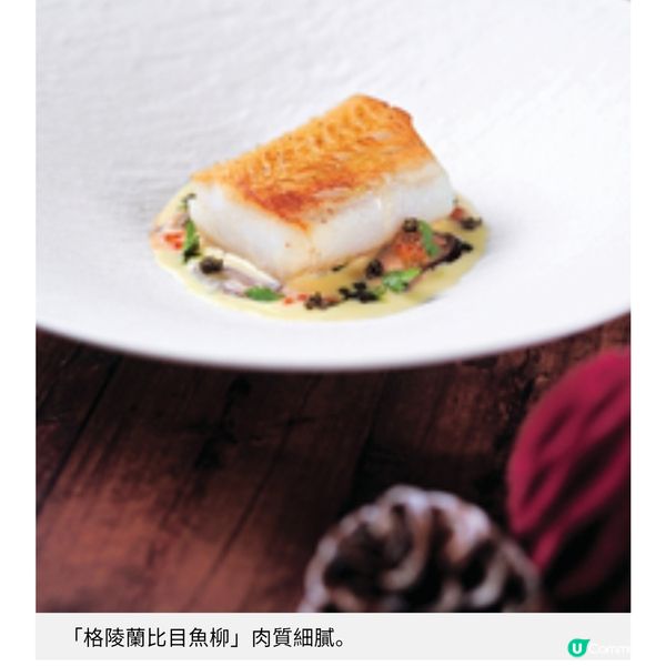 CulinArt1862豐盛節慶晚宴 豪華 6道菜冬日暖心