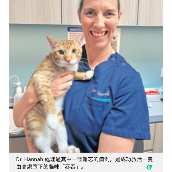 蘇格蘭獸醫體會港人熱愛寵物讓病危動物重拾健康是最大動力
