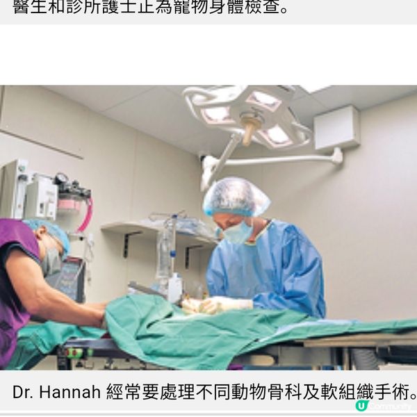 蘇格蘭獸醫體會港人熱愛寵物讓病危動物重拾健康是最大動力