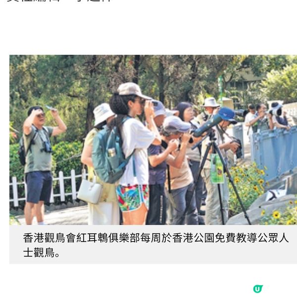 投入繪本學習觀鳥 實景聽故事傳達盼望力量