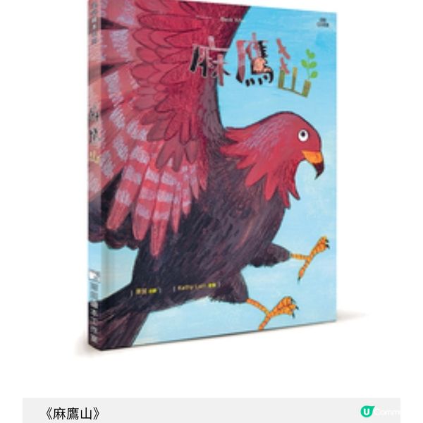 投入繪本學習觀鳥 實景聽故事傳達盼望力量