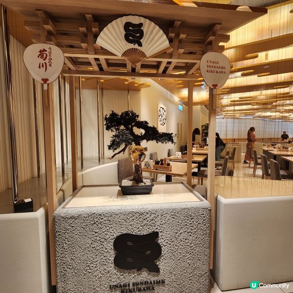 日本米芝蓮推介！鰻魚大癲超好味！😍