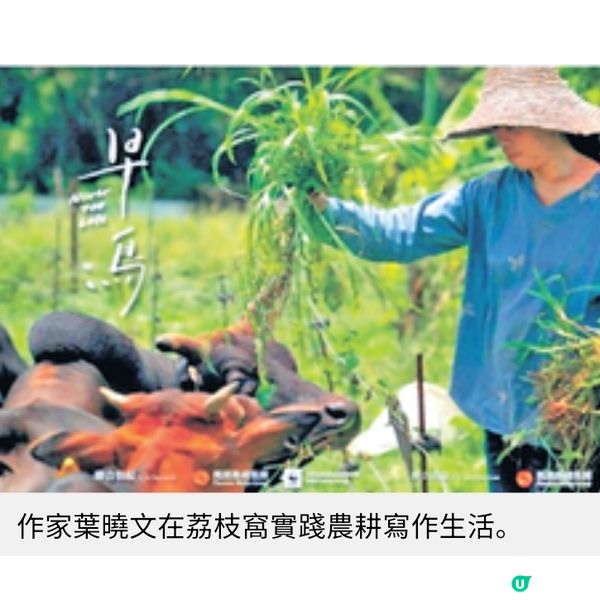 導演蔡瑞琦以《早鳥》關注自然生態 潛水教練余曉彤愛護海洋永