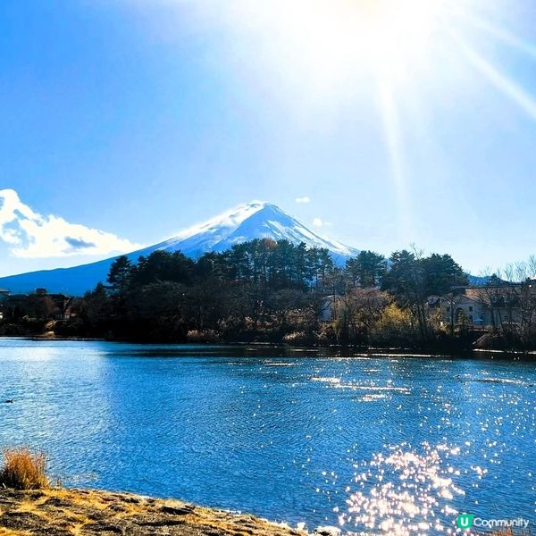 大池公園睇煙花／富士山！🗻🎆 冬日限定浪漫！
