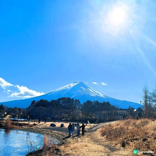 大池公園睇煙花／富士山！🗻🎆 冬日限定浪漫！