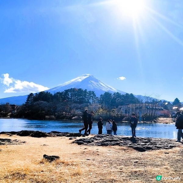 大池公園睇煙花／富士山！🗻🎆 冬日限定浪漫！