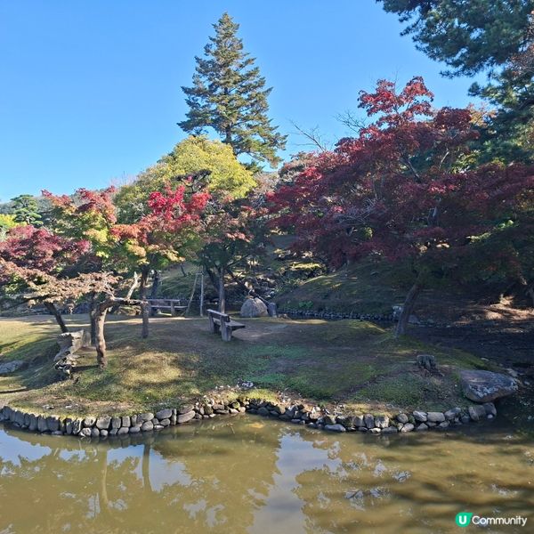 奈良公園餵鹿攻略🦌 點頭鹿仔超可愛😍