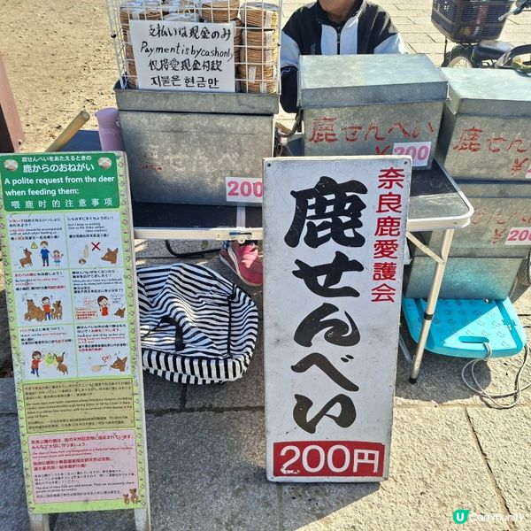 奈良公園餵鹿攻略🦌 點頭鹿仔超可愛😍