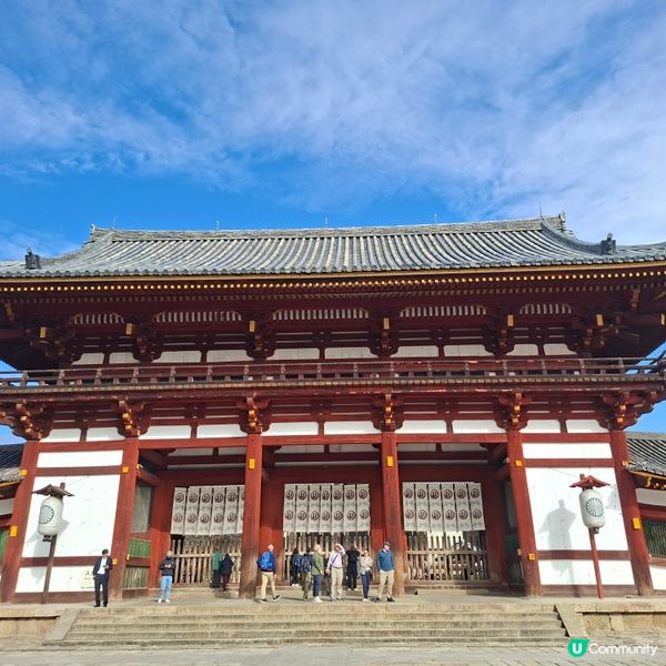 奈良公園餵鹿攻略🦌 點頭鹿仔超可愛😍