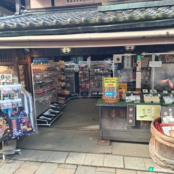 奈良公園餵鹿攻略🦌 點頭鹿仔超可愛😍