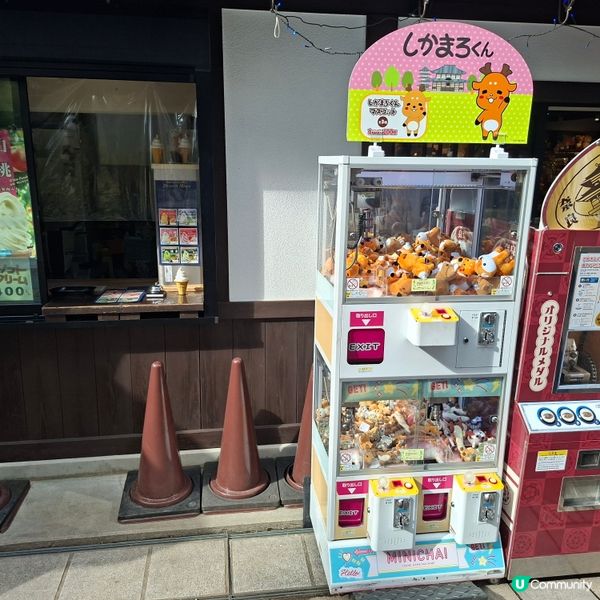 奈良公園餵鹿攻略🦌 點頭鹿仔超可愛😍