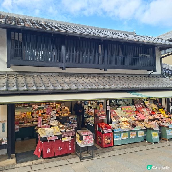 奈良公園餵鹿攻略🦌 點頭鹿仔超可愛😍