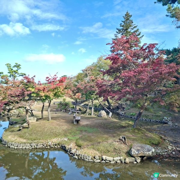 奈良公園餵鹿攻略🦌 點頭鹿仔超可愛😍