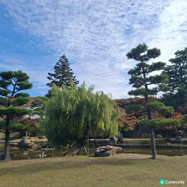 奈良公園餵鹿攻略🦌 點頭鹿仔超可愛😍
